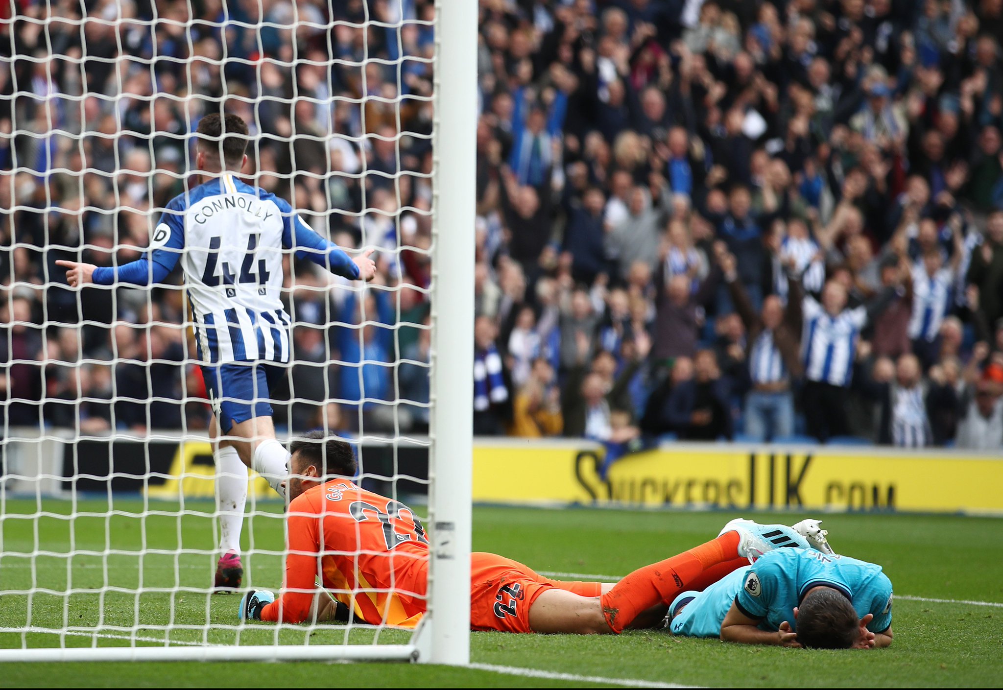 豹所需要的 豹所需要的